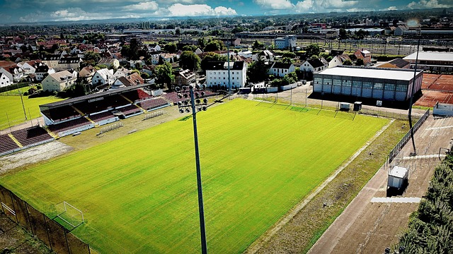 场上的最佳 场上的最佳