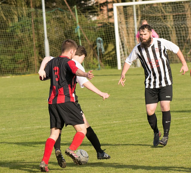 的表现及其 的表现及其