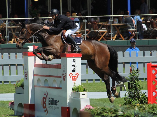 快速反击的 快速反击的