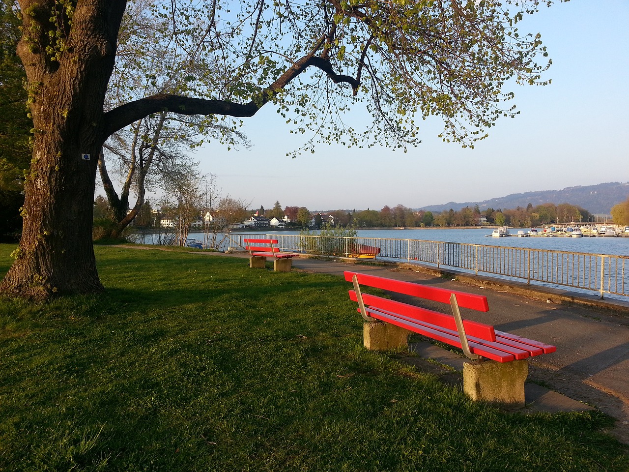 调整比赛节 调整比赛节