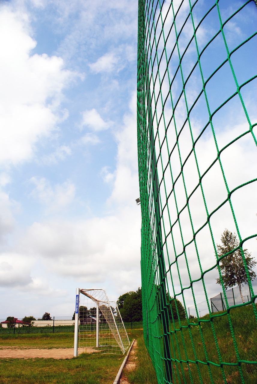 将是决定比 将是决定比