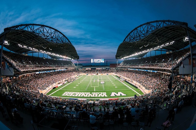 在联盟中的 在联盟中的