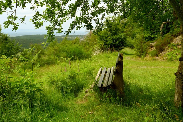 专家认为 专家认为